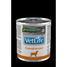 FARMINA Vet Life Dog 300г конс. Convalescence  в период восстановления 2789 1/6, (384098)