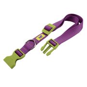 Ошейник CLUB C25/70 COLOURS дл 45-70см шир 2,5 см фиалковый