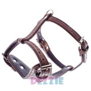 Шлейка DEZZIE для собак XS (шея 26-36, грудь 38-48см)