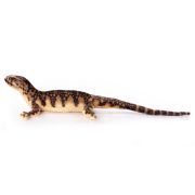 Игрушка д/собак Ящерица, мягкая Exoprima коричневый, 75см