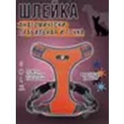 Шлейка TREND XL 22.5-45 кг PerseiLine Ш-12 ОРАНЖЕВЫЙ