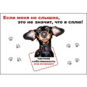 Табличка-39 (Если меня не слышно, это не значит, что я сплю) 216*303--