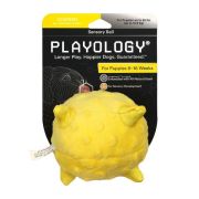 Игрушка д/собак Мяч Сенсорный плюшевый Playology PUPPY SENSORY BALL 11 см с аром.курицы.желтый