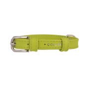 Ошейник КОЛЛАР 32565 «CoLLaR Glamour» без украшений зеленый ширина 12мм, длина 21-29см