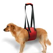 Поддержка-ходунки для центральной поддержки «Lift support» PetStandArt, Размер XL, Цвет Красный