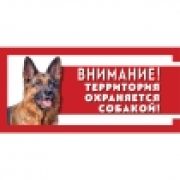 Табличка« Охраняется собакой» фото:  немецкая овчарка 250*114мм