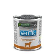 FARMINA Vet Life Dog 300г конс. Convalescence  в период восстановления 2789 1/6,