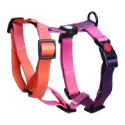 Шлейка LionPets LP23-7  (Размер S обхват груди 28-40 см, шея 24-32 см)