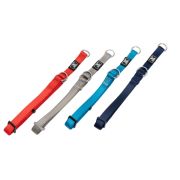 Ошейник NUNBELL д/собак PD-S 50/36х1.5см (полуудавка), микс арт.2025-0516 Код274581