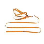 Шлейка+поводок для кошек и малых собак быстросъемн. нейлон PerseiLine ОК-5 ОРАНЖЕВЫЙ