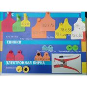 Бирка ушная ТагМини (п+м) Синяя, одного размера. С номером с двух сторон (27x27)