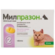 Милпразон 2*4мг/10мг д/котят и кошек до 2-х кг.(КRKA) 6233