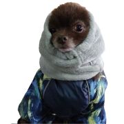 Капор зимний для собак OSSO Fashion р. XS