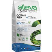 Alleva Holistic Adult Ocean Fish Medium/Maxi 2кг корм д/собак сред/круп.пород с рыбой, коноплей и алое вера 2332